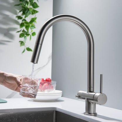 Premium Pull-Down Kitchen Faucet with Drinking Water Function FF2013