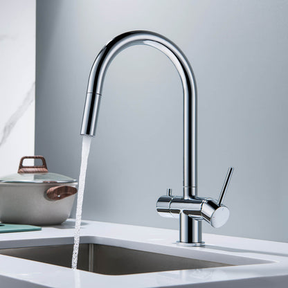 Premium Pull-Down Kitchen Faucet with Drinking Water Function FF2013
