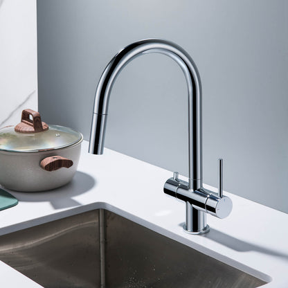 Premium Pull-Down Kitchen Faucet with Drinking Water Function FF2013