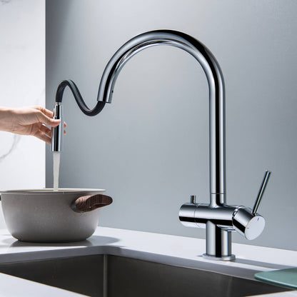 Premium Pull-Down Kitchen Faucet with Drinking Water Function FF2013