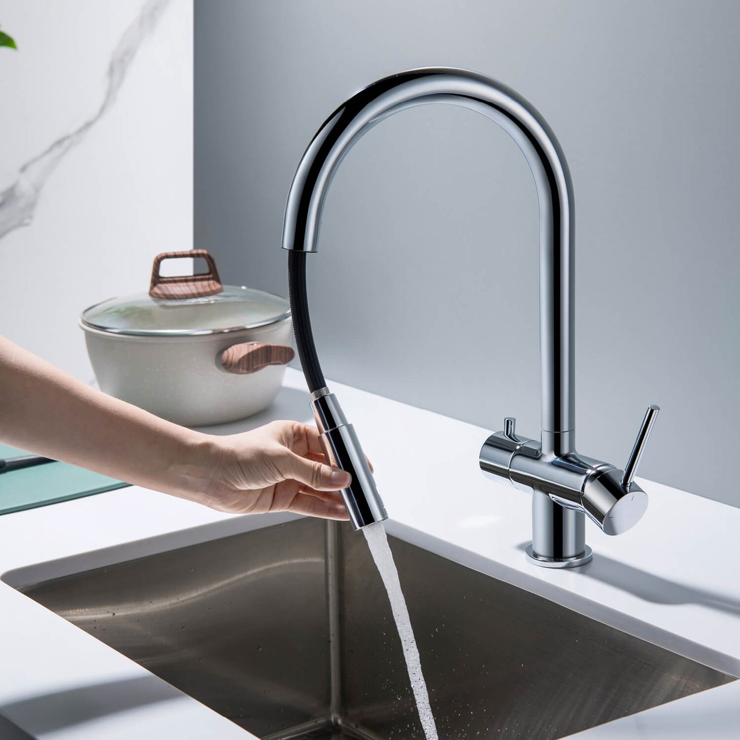 Premium Pull-Down Kitchen Faucet with Drinking Water Function FF2013