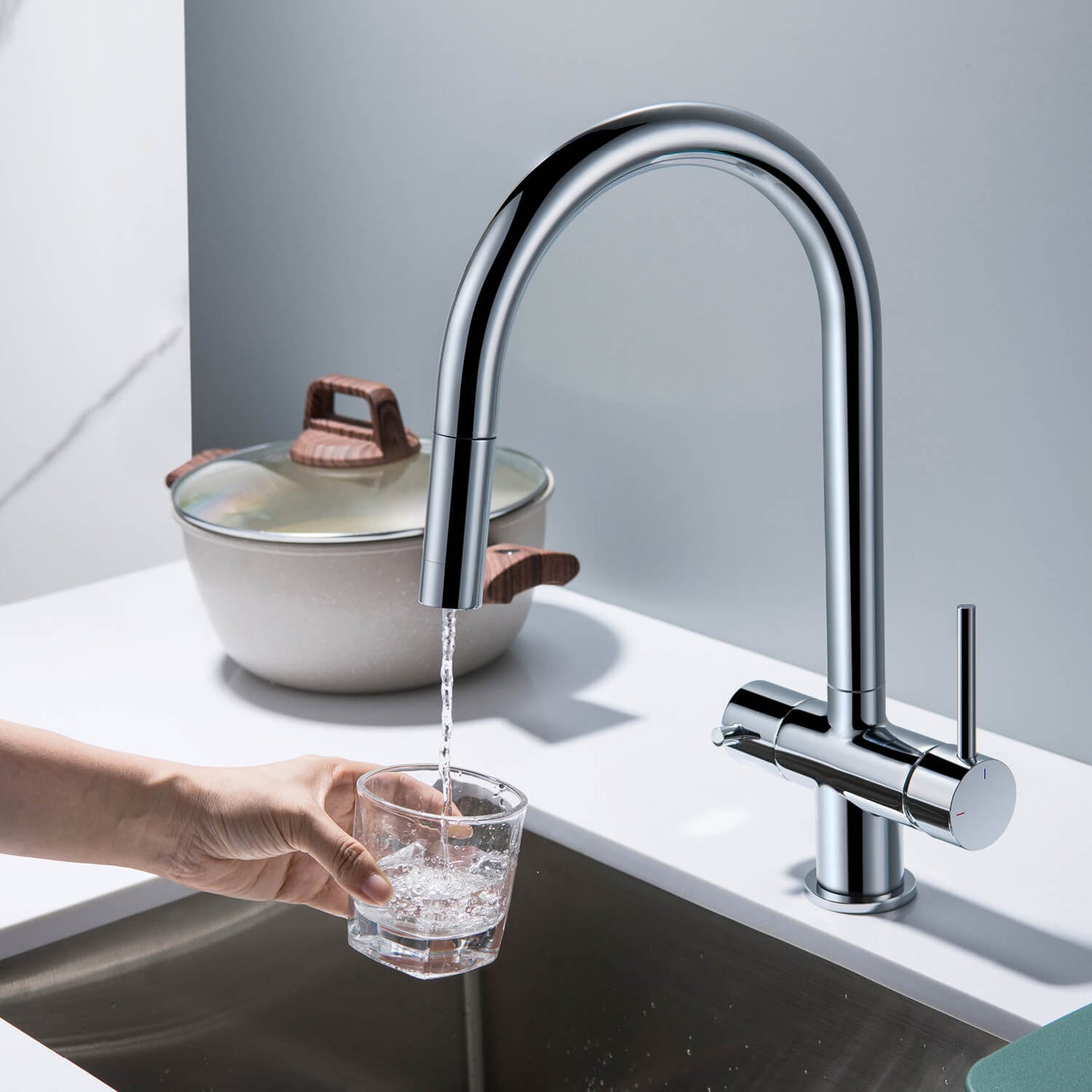Premium Pull-Down Kitchen Faucet with Drinking Water Function FF2013