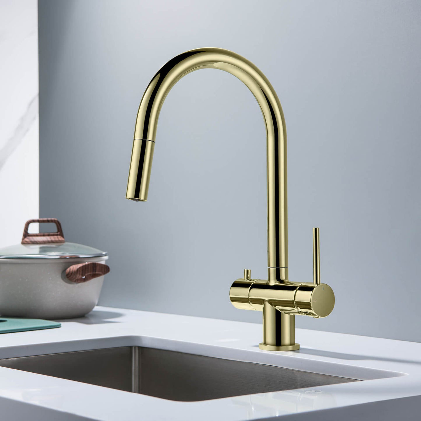 Premium Pull-Down Kitchen Faucet with Drinking Water Function FF2013