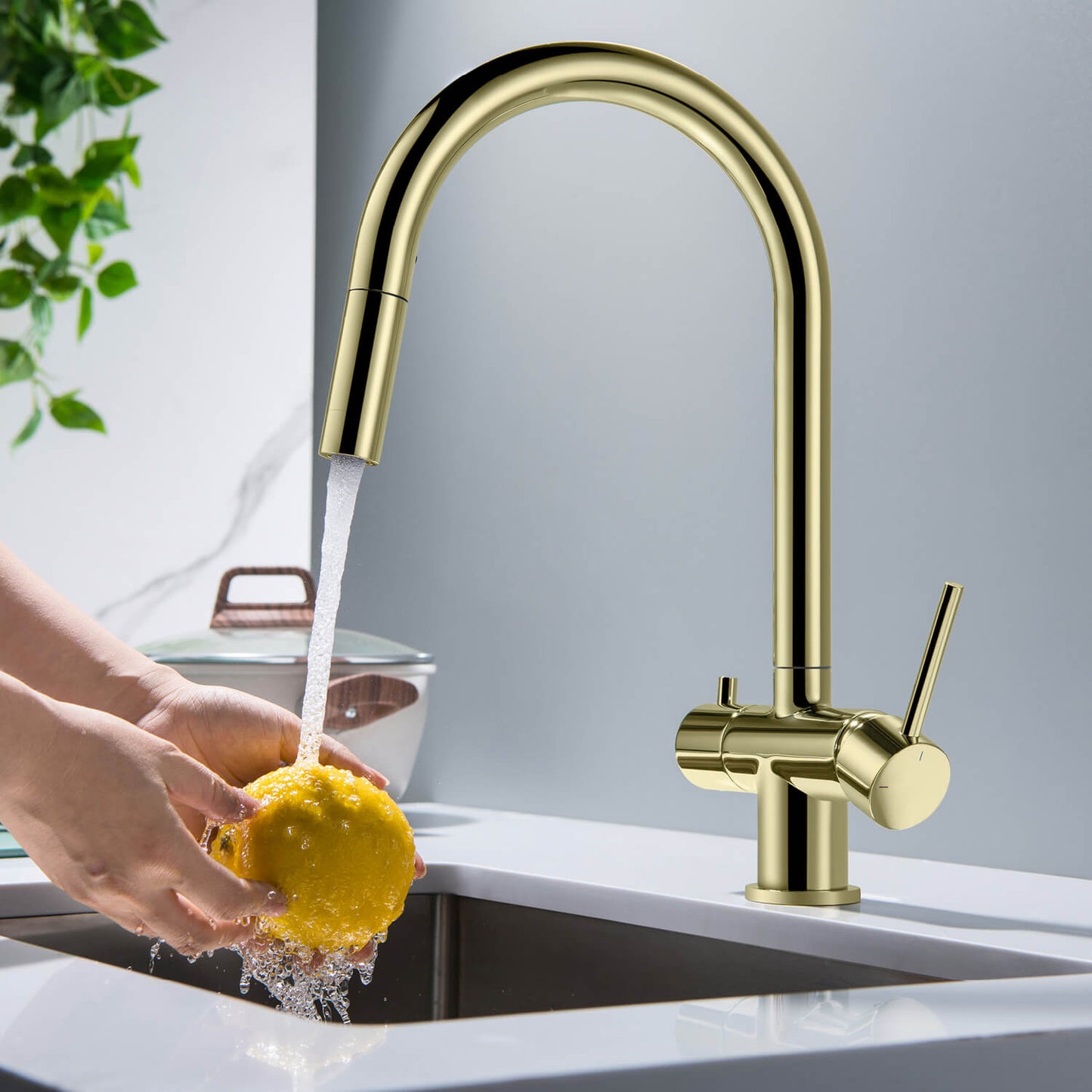 Premium Pull-Down Kitchen Faucet with Drinking Water Function FF2013