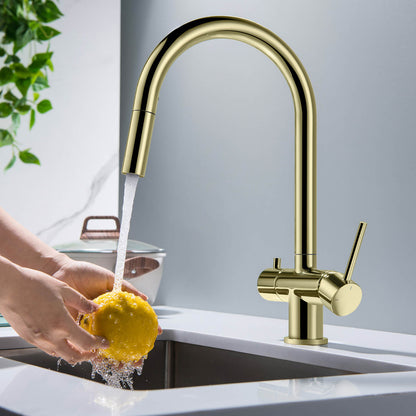 Premium Pull-Down Kitchen Faucet with Drinking Water Function FF2013