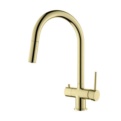 Premium Pull-Down Kitchen Faucet with Drinking Water Function FF2013