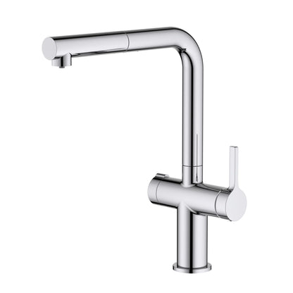 Aquavit Dual Handle Pull-Out Water Filter Kitchen Faucet FF21103