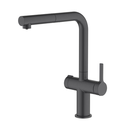 Aquavit Dual Handle Pull-Out Water Filter Kitchen Faucet FF21103