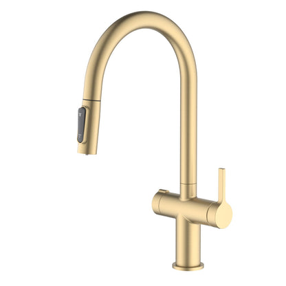 Aquavit Orbit Series Dual Handle High-Arc Water Filter Kitchen Faucet FF21104