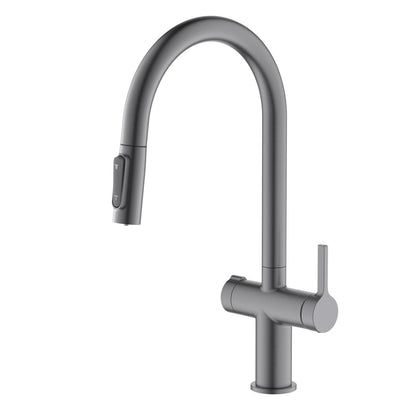 Aquavit Orbit Series Dual Handle High-Arc Water Filter Kitchen Faucet FF21104