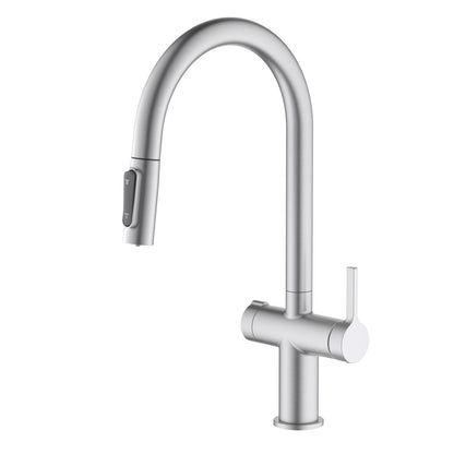 Aquavit Orbit Series Dual Handle High-Arc Water Filter Kitchen Faucet FF21104
