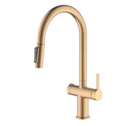 Aquavit Orbit Series Dual Handle High-Arc Water Filter Kitchen Faucet FF21104