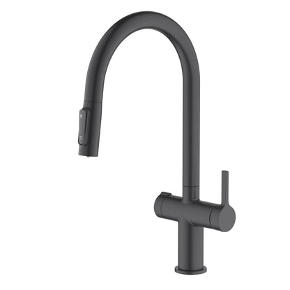 Aquavit Orbit Series Dual Handle High-Arc Water Filter Kitchen Faucet FF21104