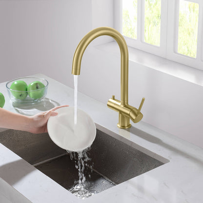 Aquavit Water Filtration Kitchen Faucets FF2113