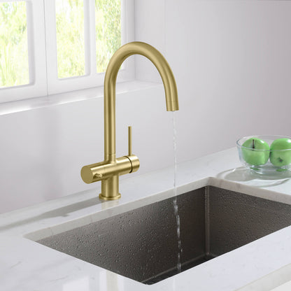 Aquavit Water Filtration Kitchen Faucets FF2113