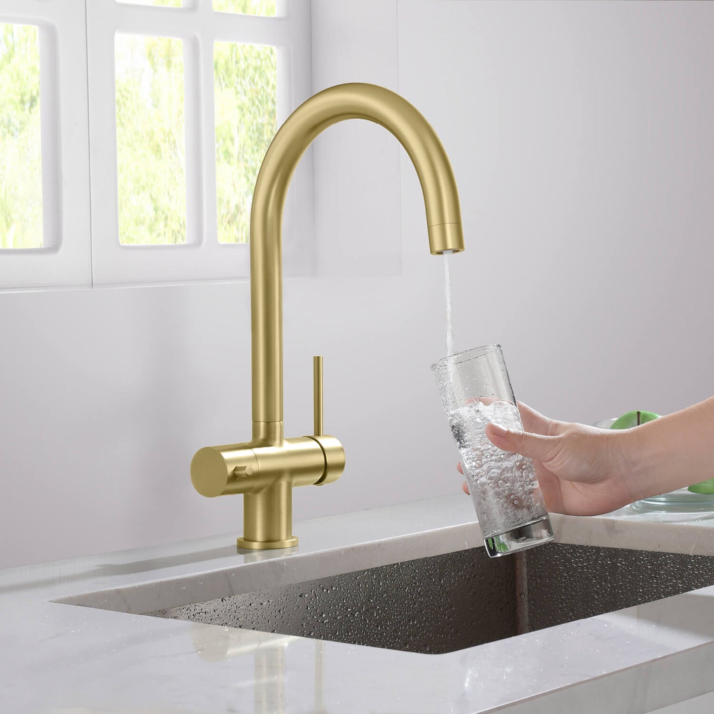 Aquavit Water Filtration Kitchen Faucets FF2113