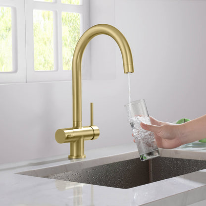 Aquavit Water Filtration Kitchen Faucets FF2113