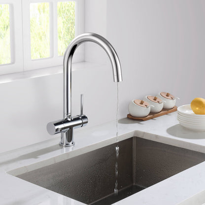 Aquavit Water Filtration Kitchen Faucets FF2113