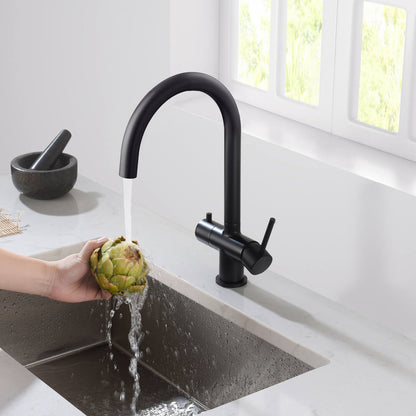 Aquavit Water Filtration Kitchen Faucets FF2113