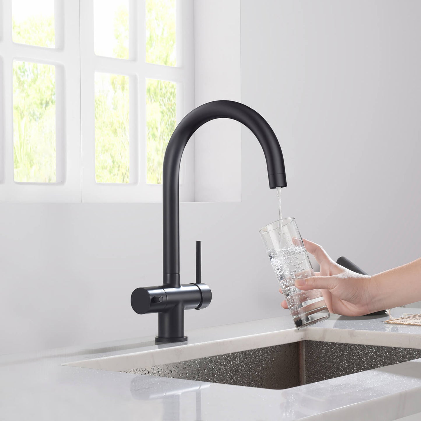 Aquavit Water Filtration Kitchen Faucets FF2113