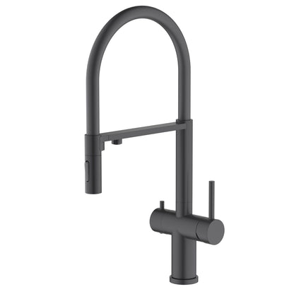 Aquavit Orbi matte black pull-out filtration kitchen faucet with magnetic two-function spray head FF21303
