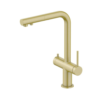 Aquavit Single-Hole Dual Handle Pull-Out Spout with Water Filtering FF27101