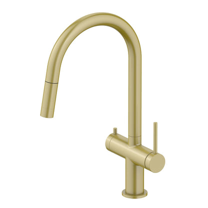 Aquavit Dual Function Pull Out Spout Kitchen Faucet with Water Filter FF2712
