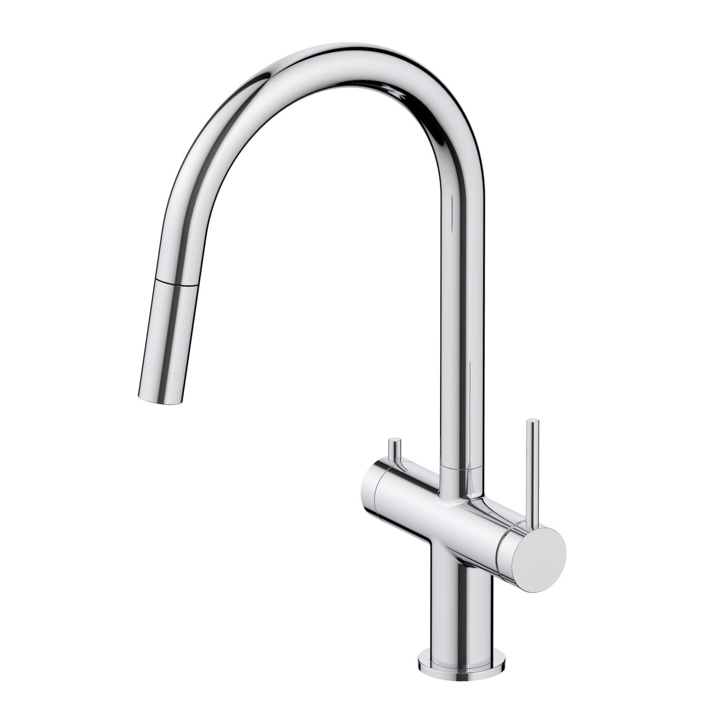 Aquavit Dual Function Pull Out Spout Kitchen Faucet with Water Filter FF2712