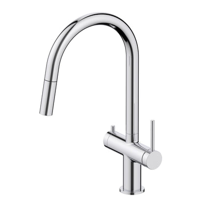 Aquavit Dual Function Pull Out Spout Kitchen Faucet with Water Filter FF2712