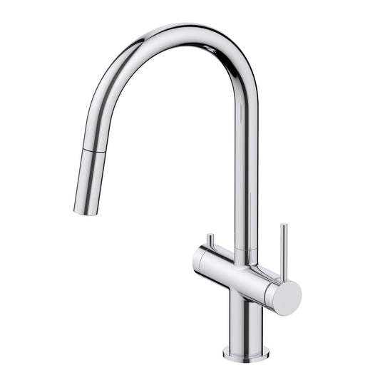 Aquavit Dual Function Pull Out Spout Kitchen Faucet with Water Filter FF2712