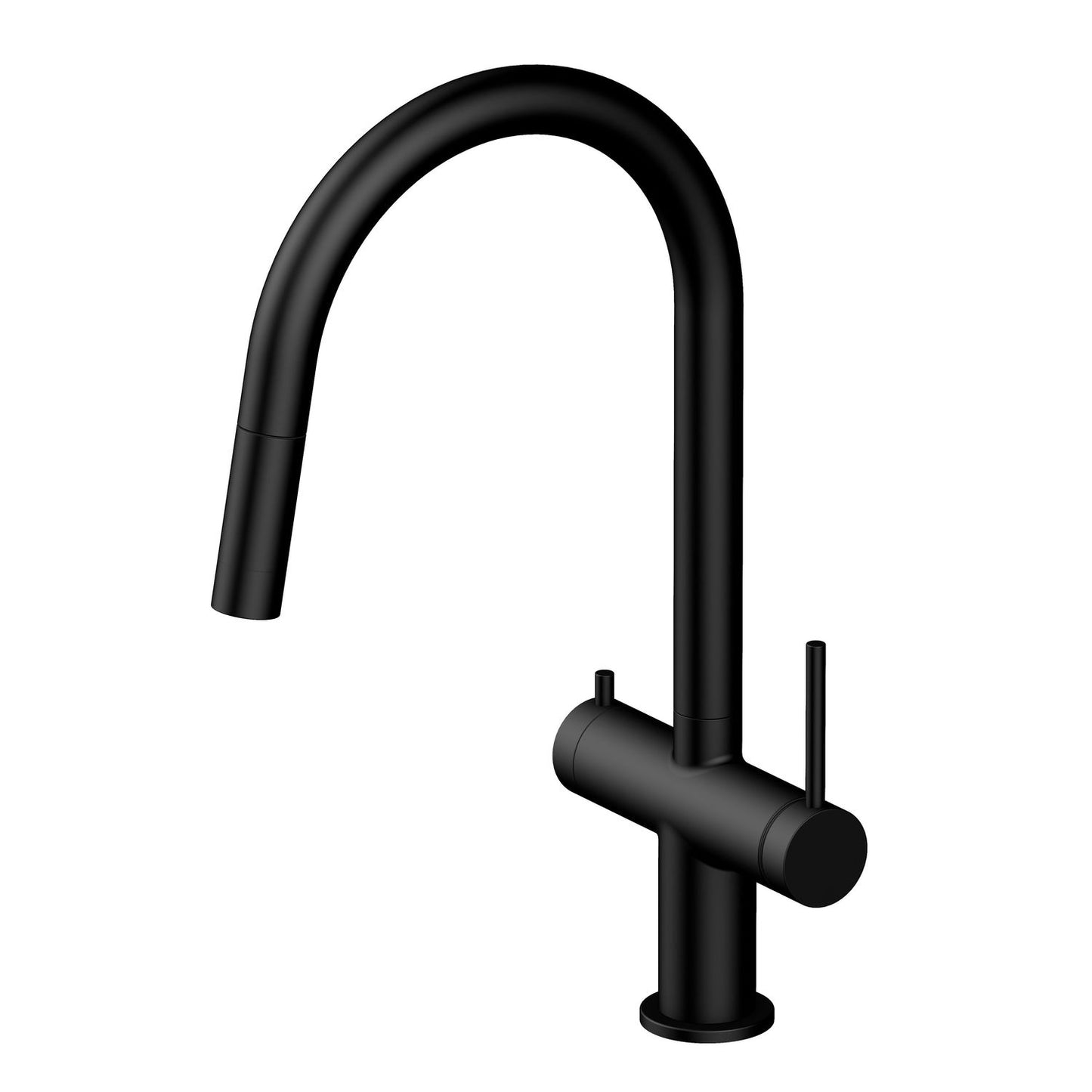 Aquavit Dual Function Pull Out Spout Kitchen Faucet with Water Filter FF2712