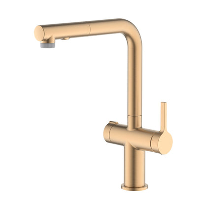 Aquavit Kore Pull-Out Filtration Kitchen Faucet with Dual Handle FF3211