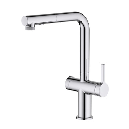 Aquavit Kore Pull-Out Filtration Kitchen Faucet with Dual Handle FF3211