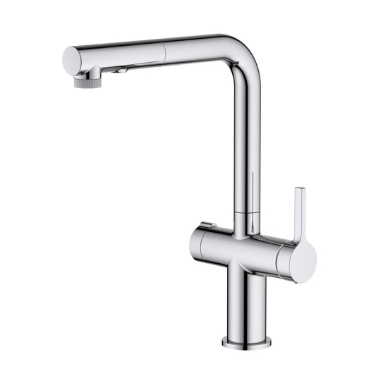 Aquavit Kore Pull-Out Filtration Kitchen Faucet with Dual Handle FF3211