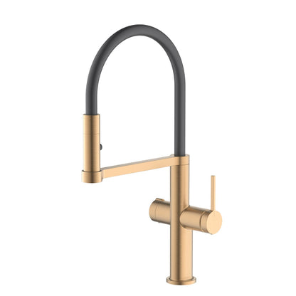 Aquavit Kore Pull-Out Kitchen Faucet Dual-Handle for Filtered & Mixed Water FF3231