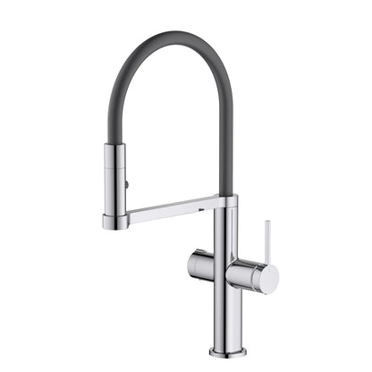 Aquavit Kore Pull-Out Kitchen Faucet Dual-Handle for Filtered & Mixed Water FF3231