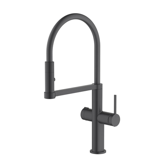 Aquavit Kore Pull-Out Kitchen Faucet Dual-Handle for Filtered & Mixed Water FF3231