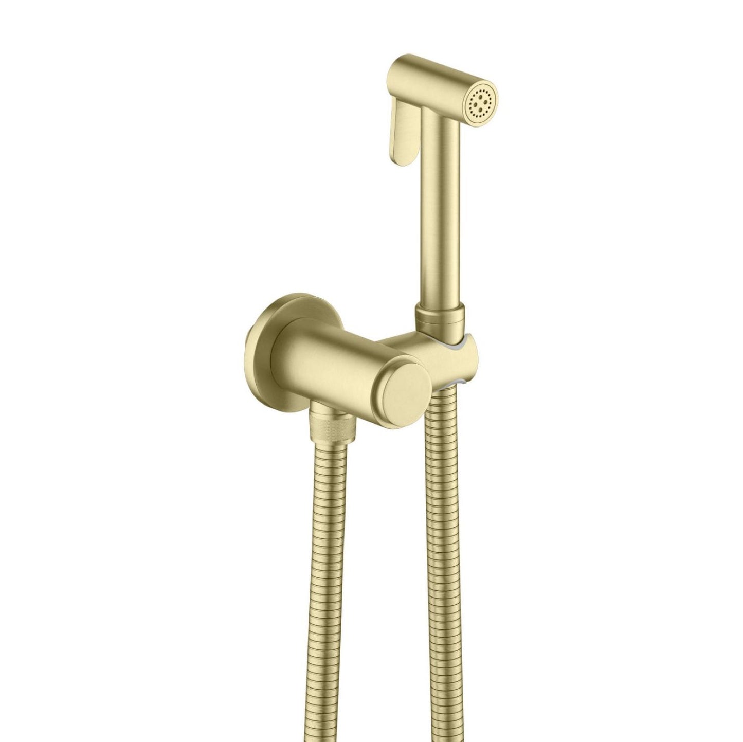 Wall mounted hand bidet spray HB4001