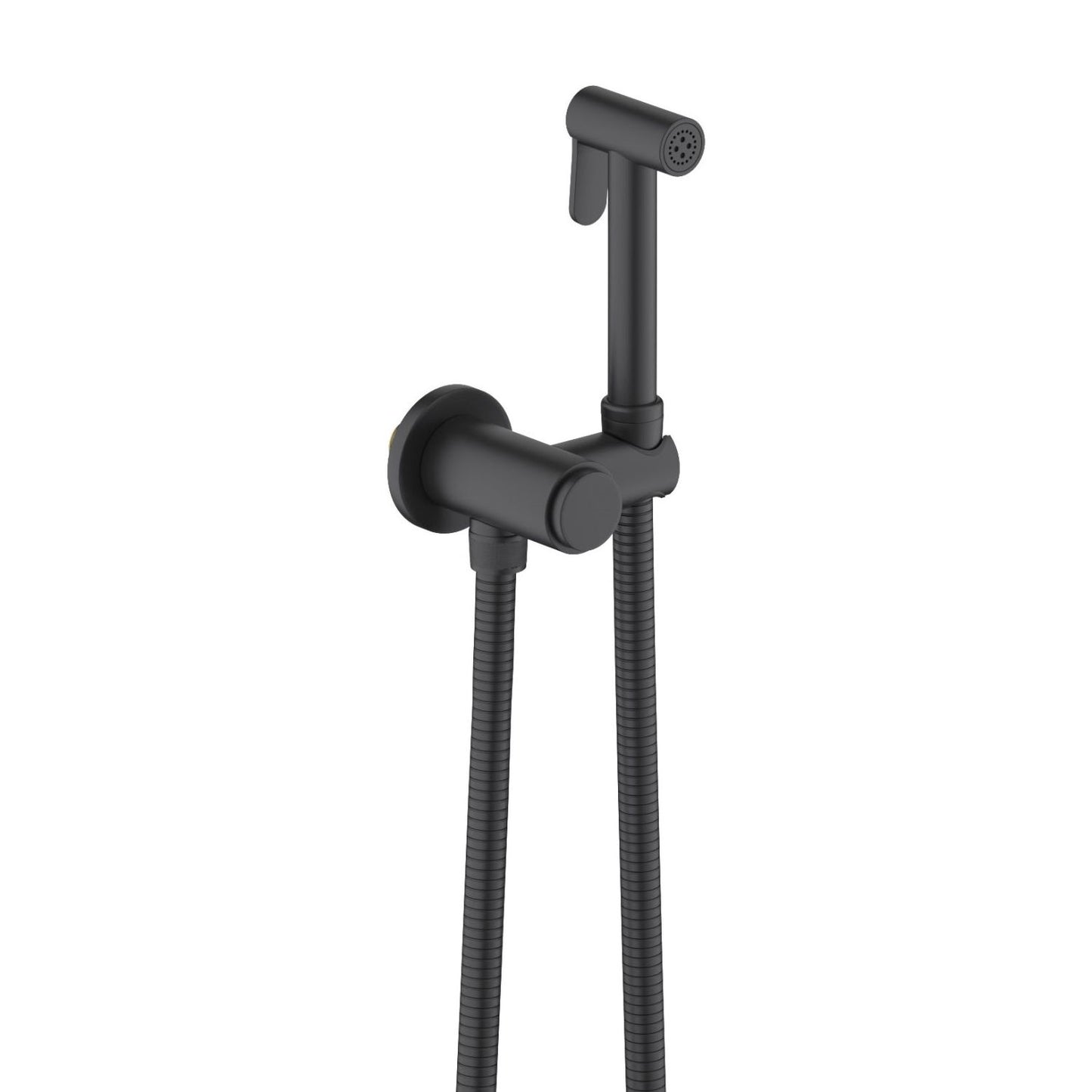 Wall mounted hand bidet spray HB4001