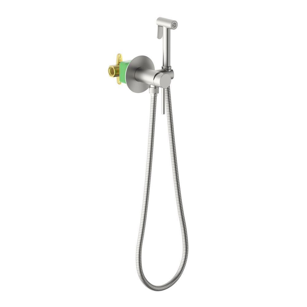 Wall concealed hand bidet set HB5001