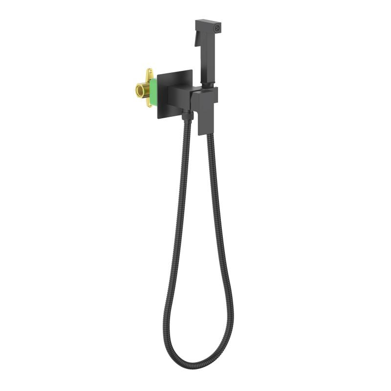 Wall concealed hand bidet set HB5002