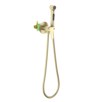 Wall concealed hand bidet set HB5007
