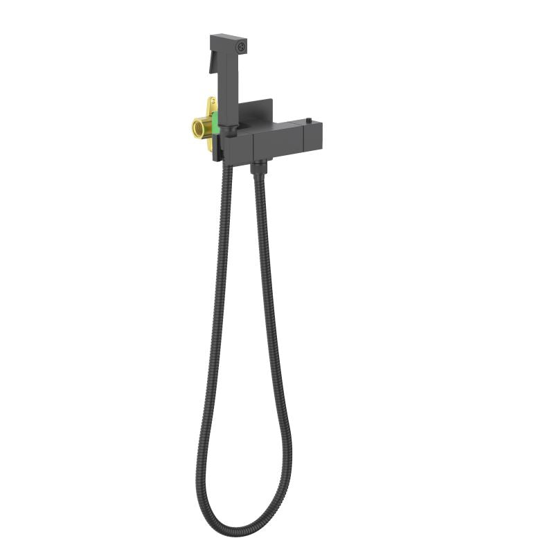 Wall concealed thermostatic hand bidet set HB6002