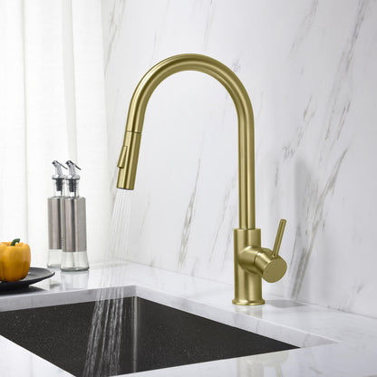 Pull-Down Kitchen Faucet with Dual-Function Spray Head KF10101