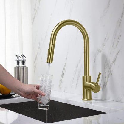 Pull-Down Kitchen Faucet with Dual-Function Spray Head KF10101