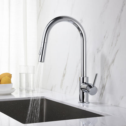 Pull-Down Kitchen Faucet with Dual-Function Spray Head KF10101