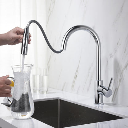 Pull-Down Kitchen Faucet with Dual-Function Spray Head KF10101