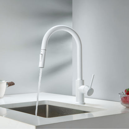 Pull-Down Kitchen Faucet with Dual-Function Spray Head KF10101