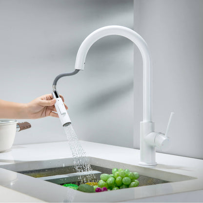 Pull-Down Kitchen Faucet with Dual-Function Spray Head KF10101