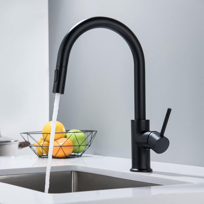 Modern Brass Kitchen Faucet with Pull-Out Hose KF10104